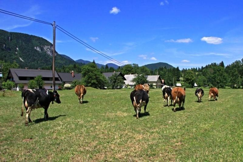 Farmhouse Soklic Bohinj Εξωτερικό φωτογραφία