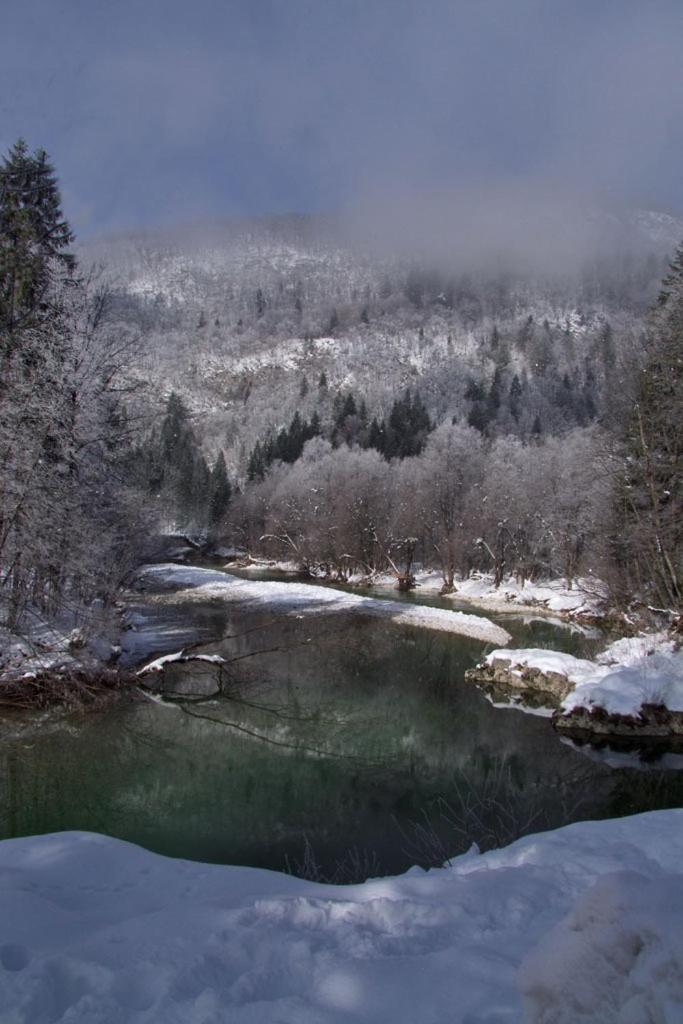 Farmhouse Soklic Bohinj Εξωτερικό φωτογραφία