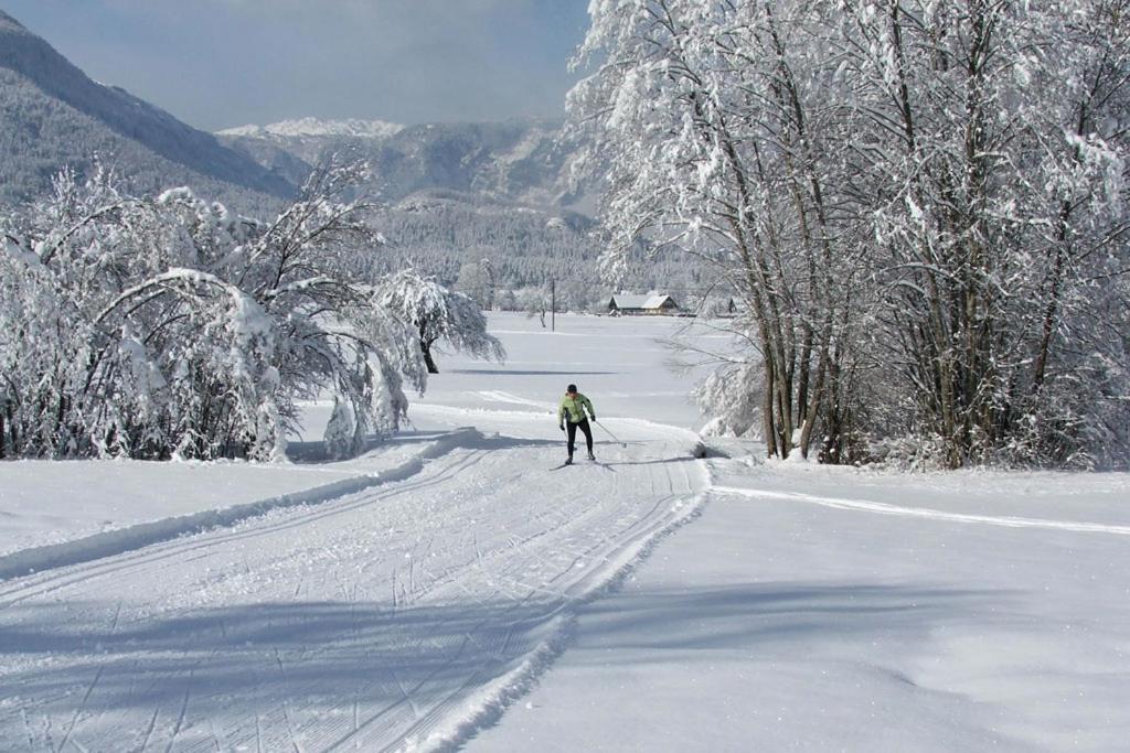 Farmhouse Soklic Bohinj Εξωτερικό φωτογραφία